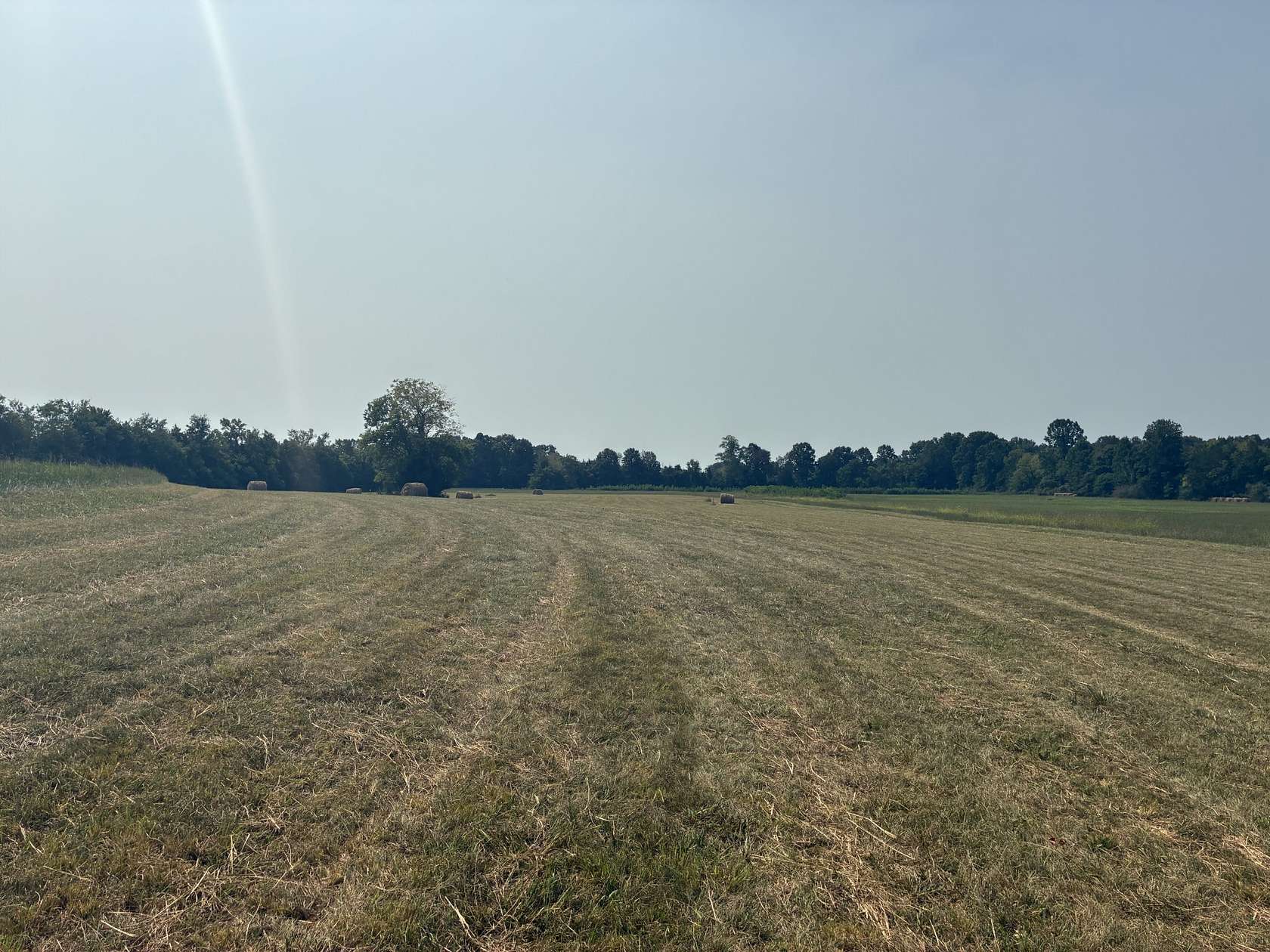 32.3 Acres of Land for Sale in Chapel Hill, Tennessee