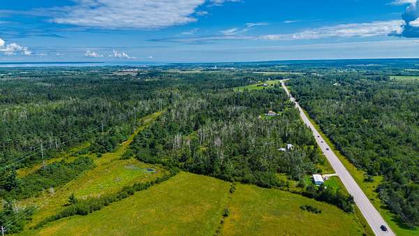 20 Acres of Land for Sale in Cheboygan, Michigan
