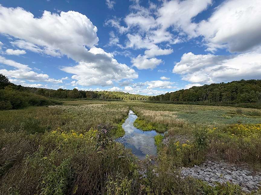10.2 Acres of Land for Sale in Hartwick, New York