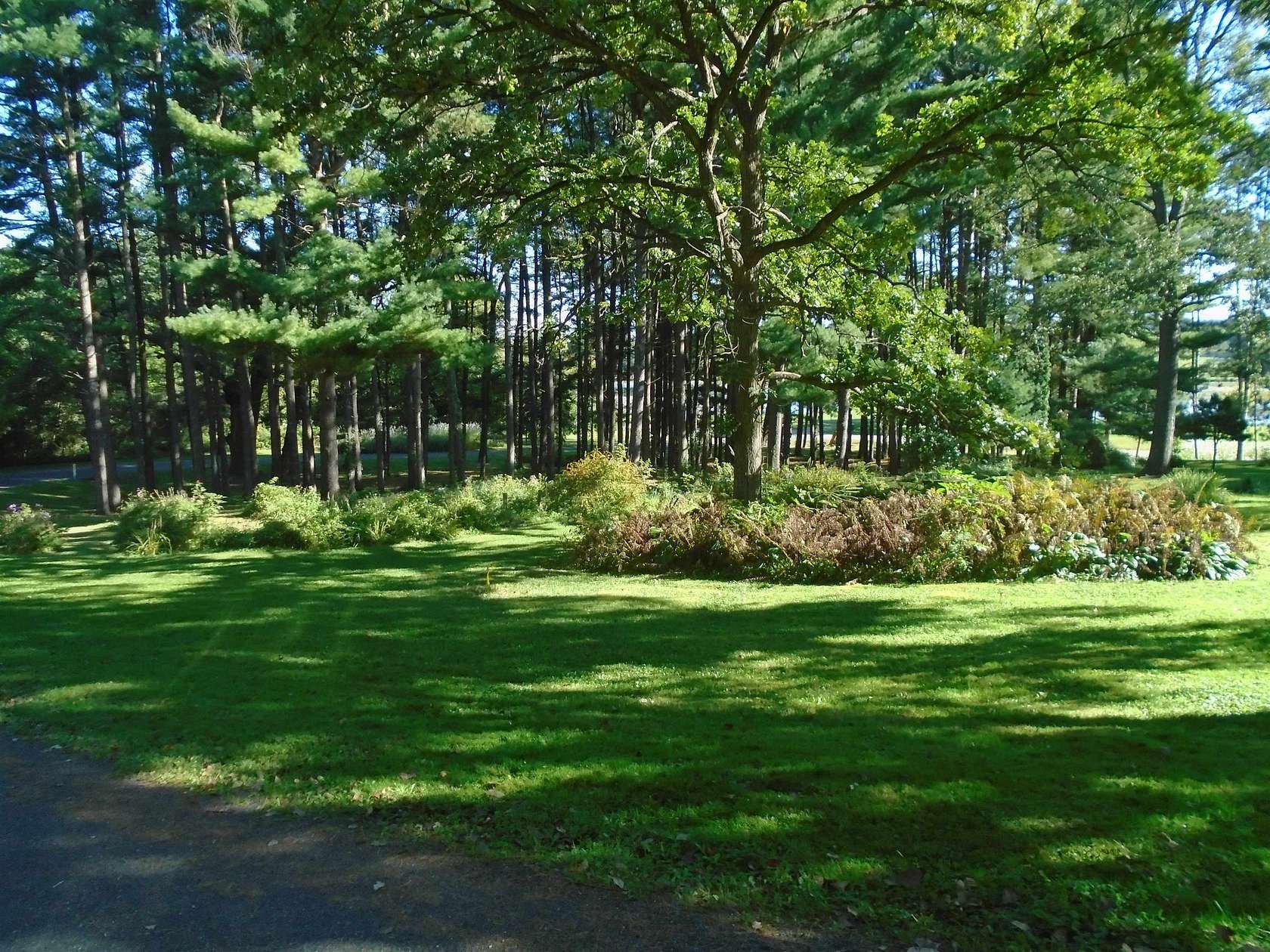 3 Acres of Residential Land for Sale in Mazomanie, Wisconsin