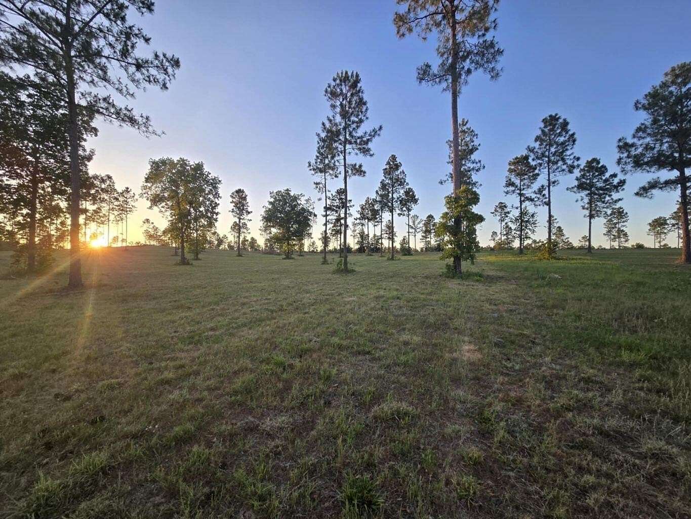 5.55 Acres of Land for Sale in Aiken, South Carolina
