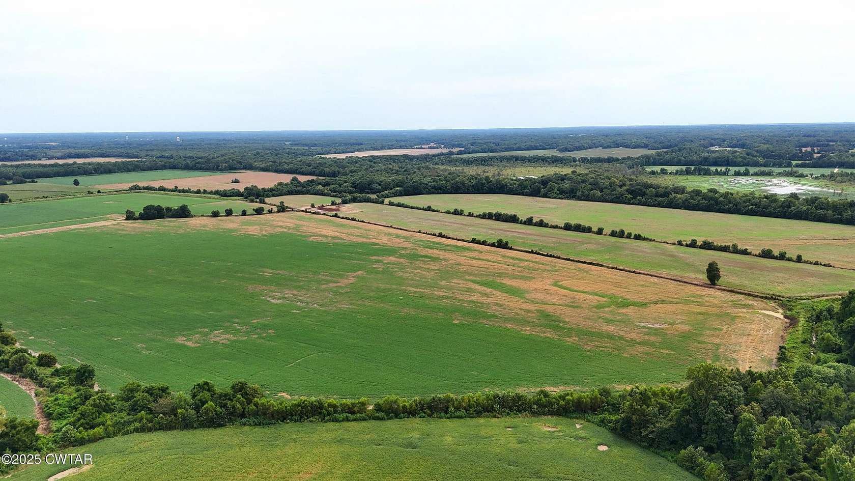 300 Acres of Recreational Land & Farm for Sale in Humboldt, Tennessee
