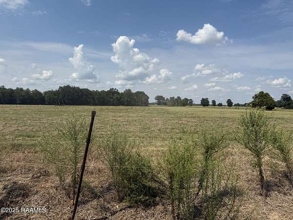 5 Acres of Residential Land for Sale in Ville Platte, Louisiana