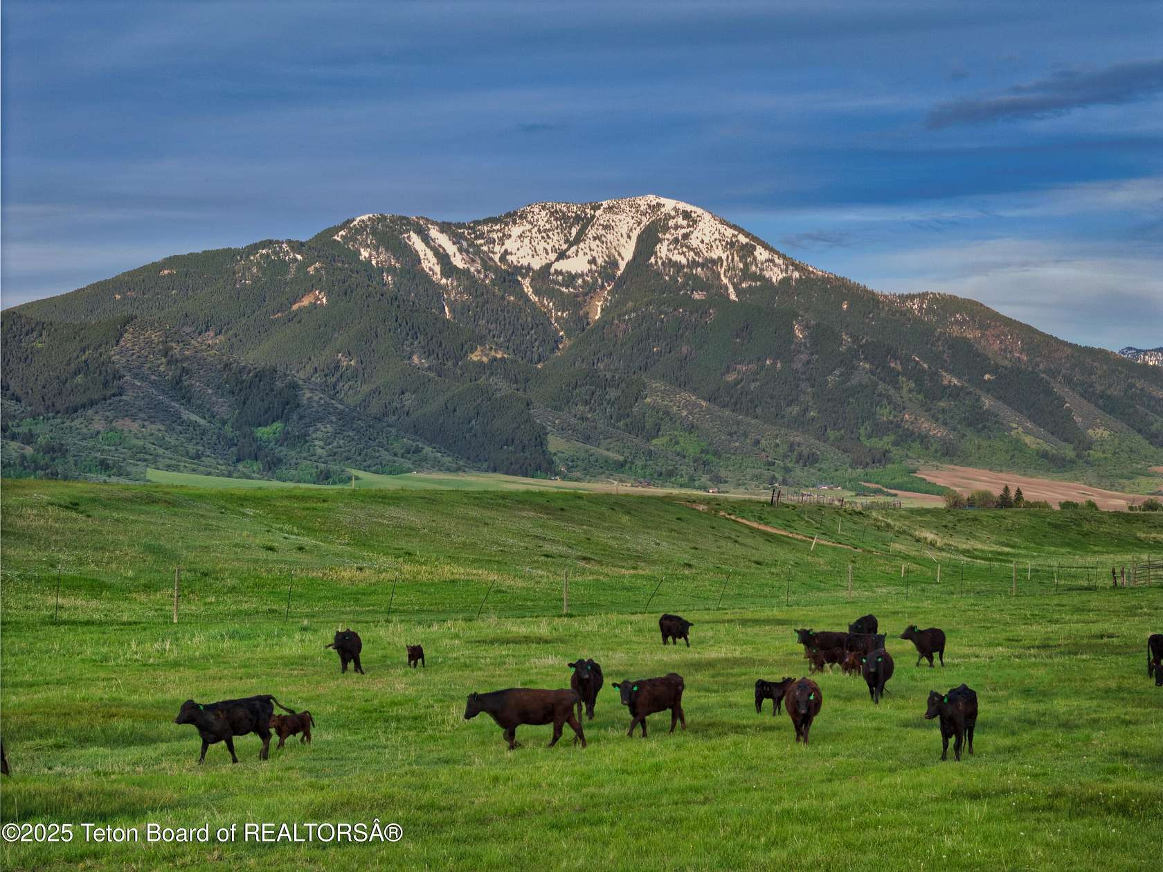 686 Acres of Recreational Land & Farm for Sale in Swan Valley, Idaho