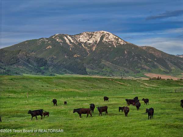 686 Acres of Recreational Land & Farm for Sale in Swan Valley, Idaho