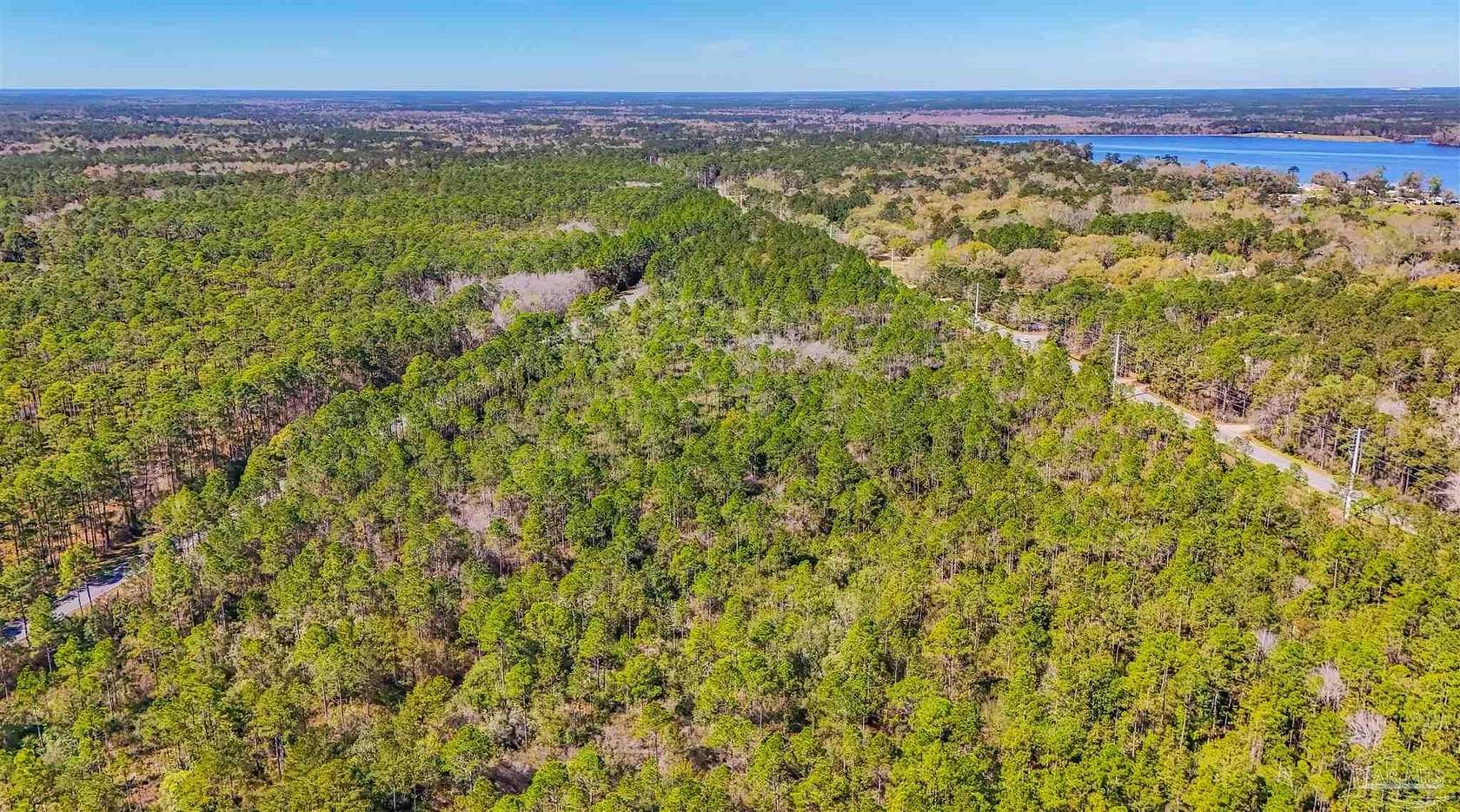 14.5 Acres of Recreational Land for Sale in Tallahassee, Florida