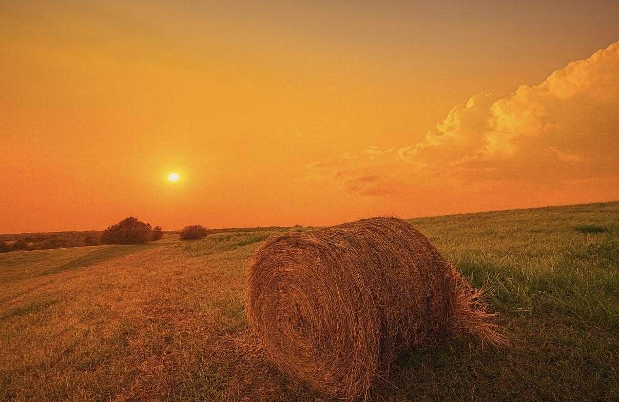 50 Acres of Commercial Land for Sale in Lawrenceburg, Kentucky