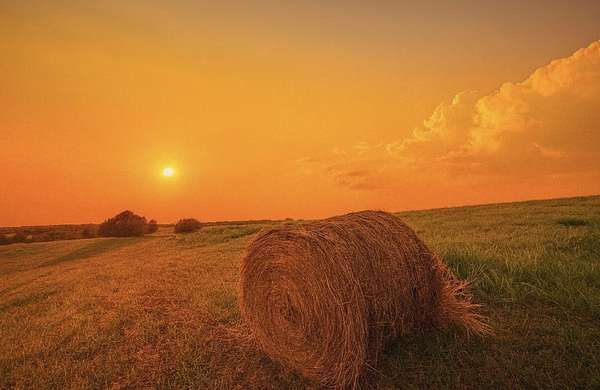 50 Acres of Commercial Land for Sale in Lawrenceburg, Kentucky