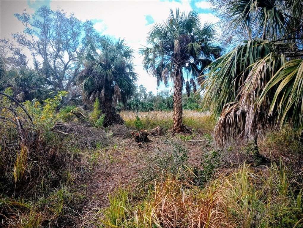 0.28 Acres of Land for Sale in Punta Gorda, Florida