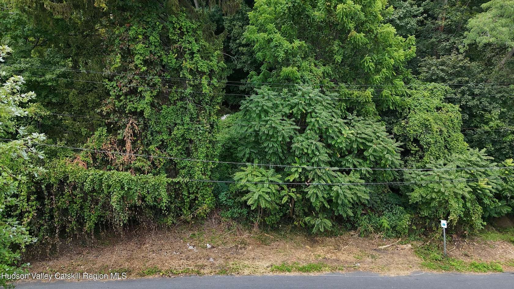 0.63 Acres of Residential Land for Sale in Kingston, New York