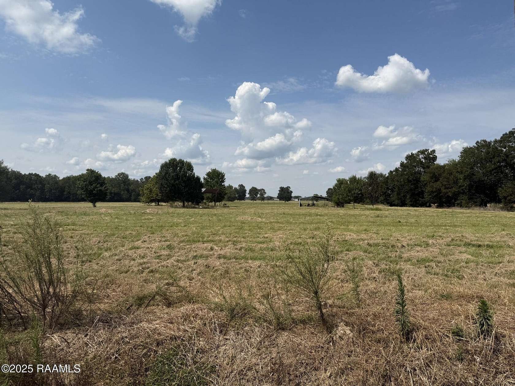 5 Acres of Residential Land for Sale in Ville Platte, Louisiana