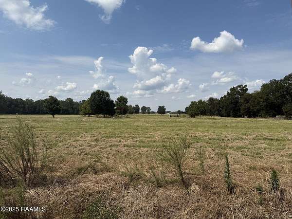 5 Acres of Residential Land for Sale in Ville Platte, Louisiana