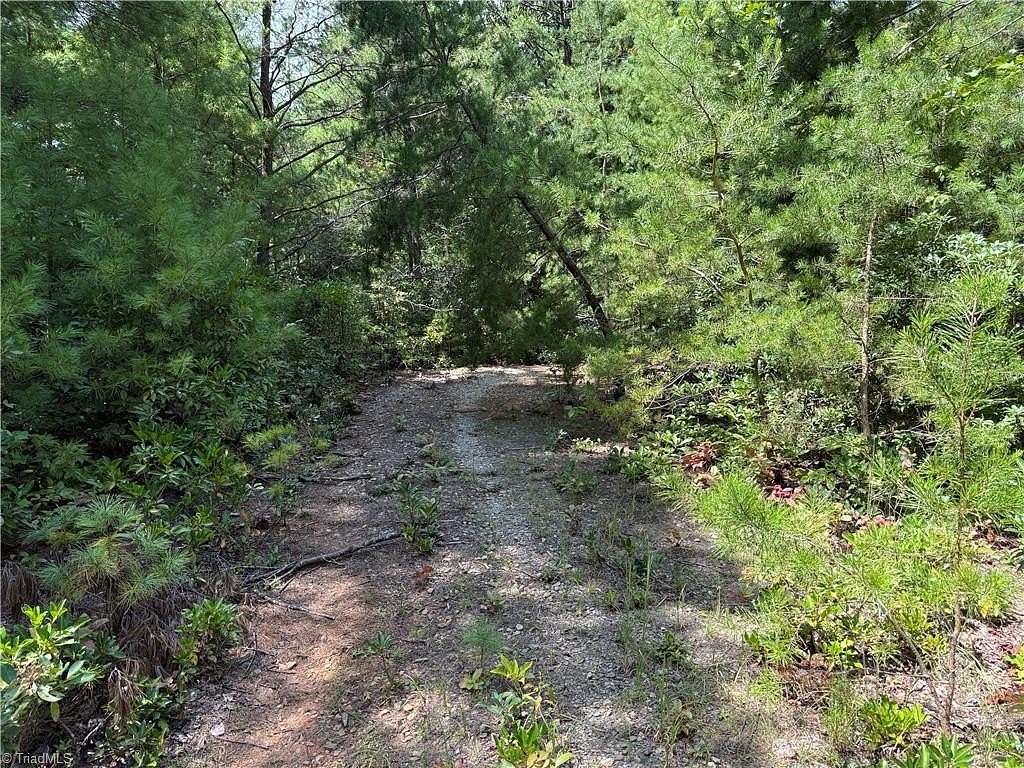 1.34 Acres of Residential Land for Sale in Purlear, North Carolina