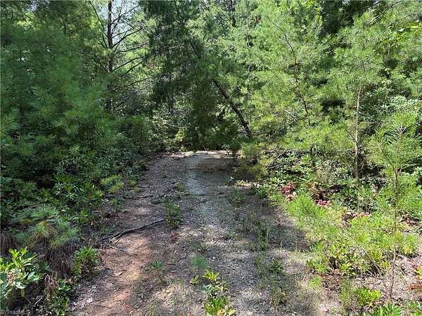 1.34 Acres of Residential Land for Sale in Purlear, North Carolina
