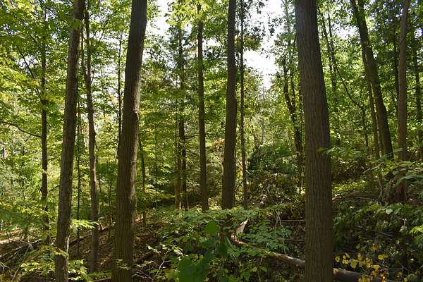 18.3 Acres of Recreational Land for Sale in Jamestown, New York