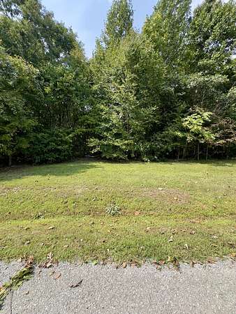 40 Acres of Recreational Land for Sale in Burkesville, Kentucky