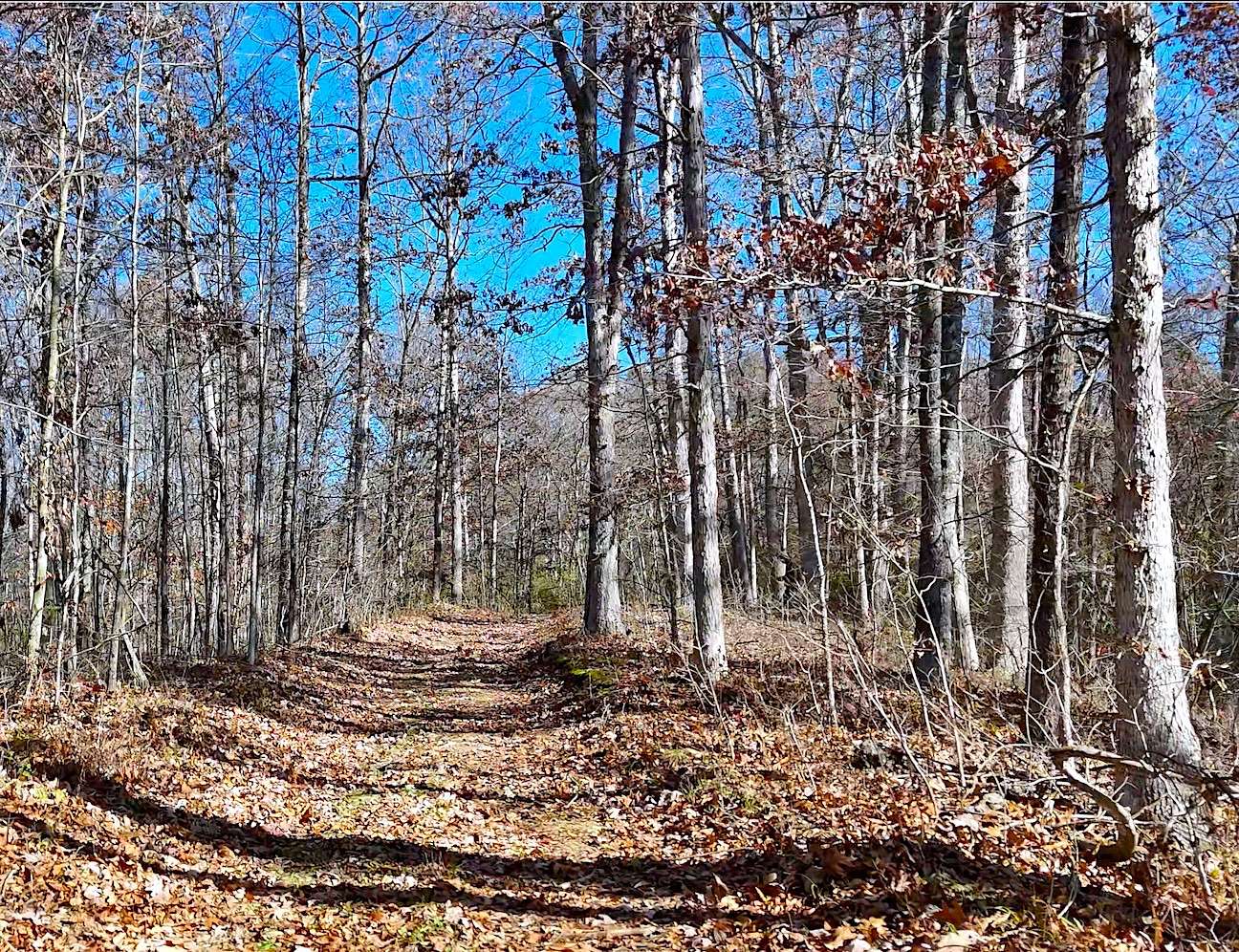 174 Acres of Recreational Land for Sale in Amesville, Ohio