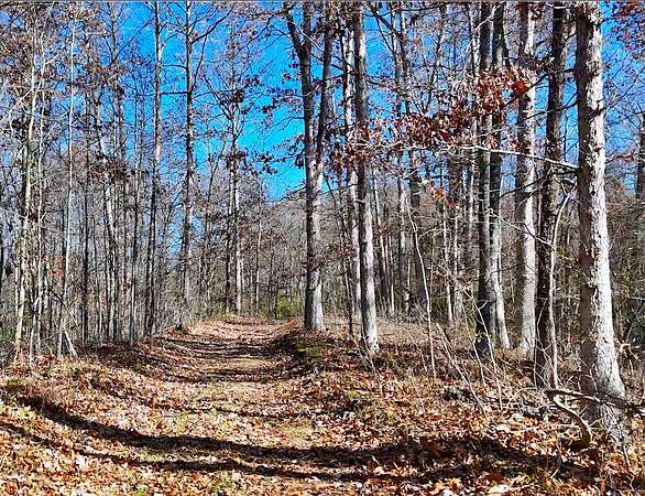 174 Acres of Recreational Land for Sale in Amesville, Ohio