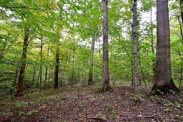 174 Acres of Recreational Land for Sale in Amesville, Ohio