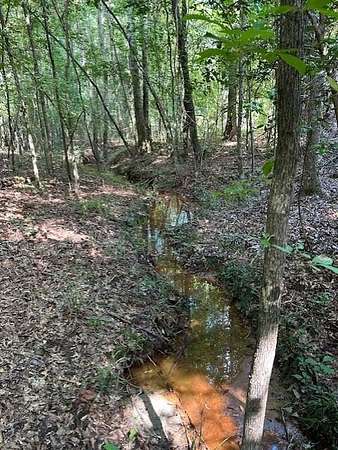 80 Acres of Recreational Land for Sale in Eufaula, Alabama