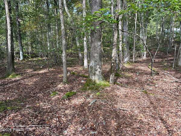 1.16 Acres of Residential Land for Sale in Milford, Pennsylvania
