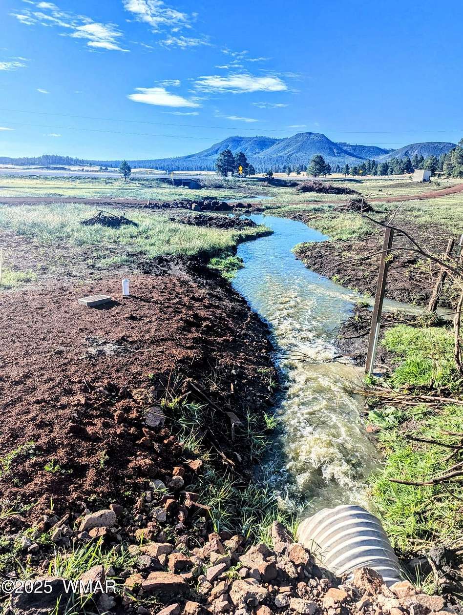 2.4 Acres of Residential Land for Sale in Alpine, Arizona