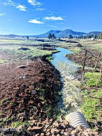 2.4 Acres of Residential Land for Sale in Alpine, Arizona