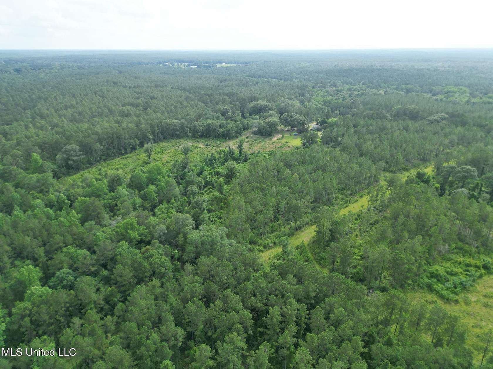 24 Acres of Recreational Land for Sale in Wiggins, Mississippi