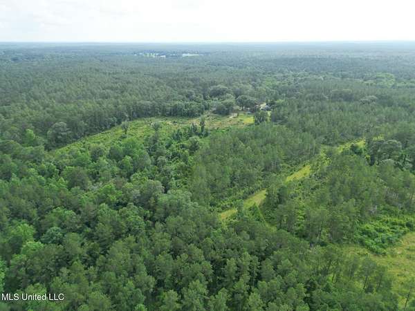 24 Acres of Recreational Land for Sale in Wiggins, Mississippi
