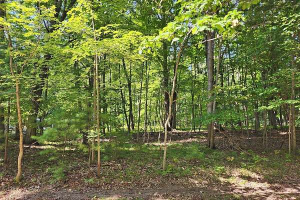 0.32 Acres of Land for Sale in Stanwood, Michigan