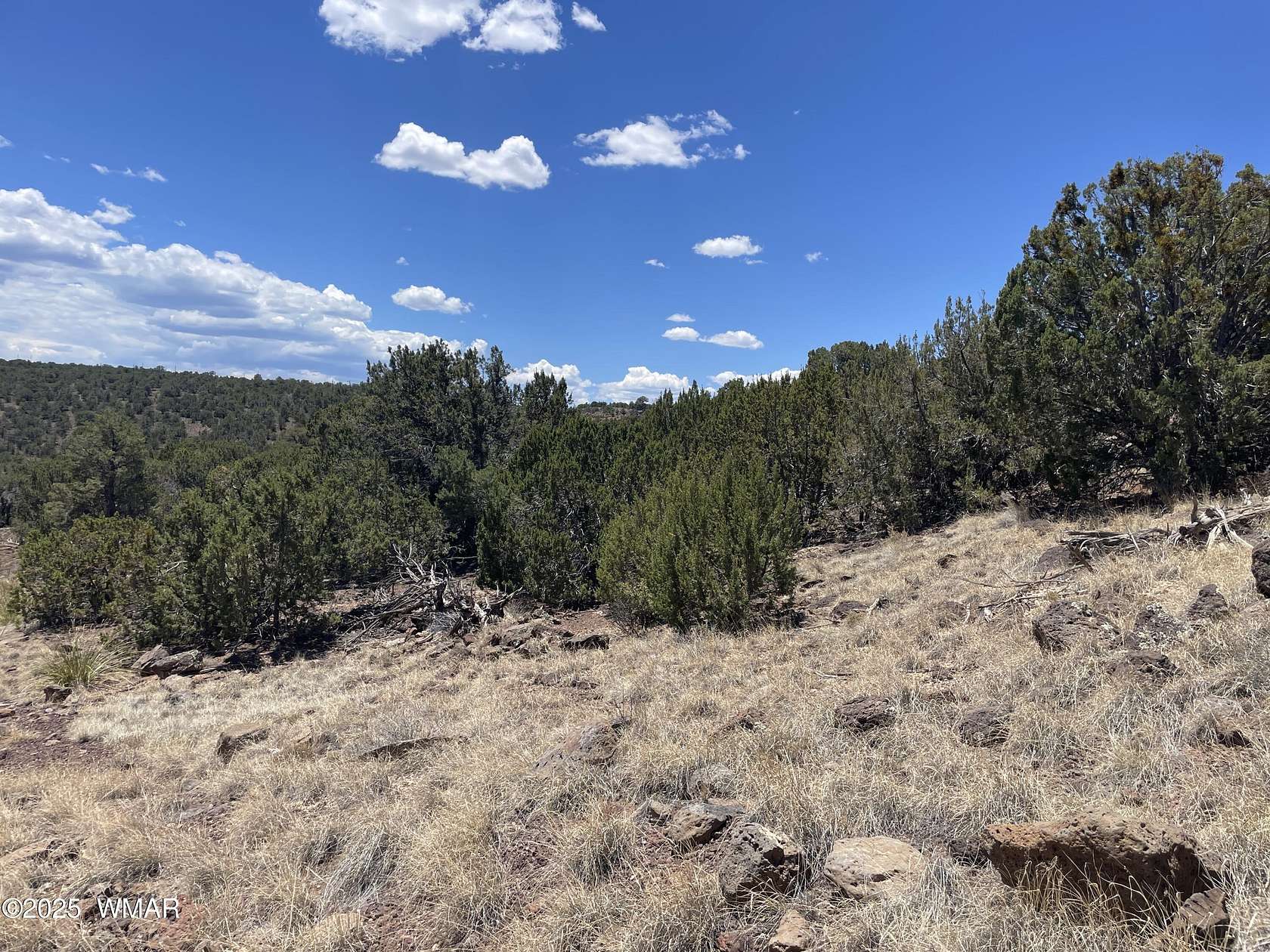 5.74 Acres of Land for Sale in Concho, Arizona