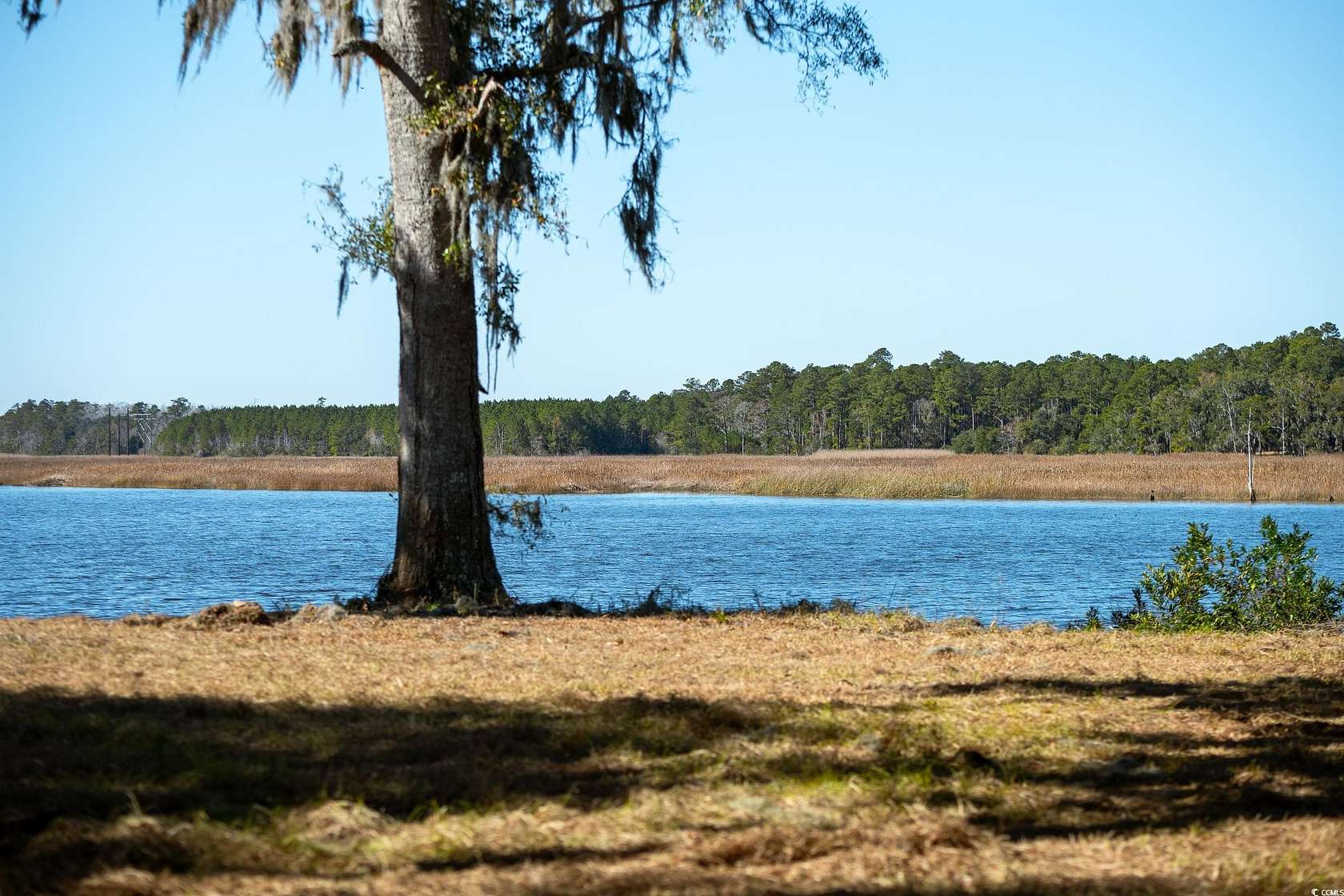 1 Acre of Residential Land for Sale in Georgetown, South Carolina
