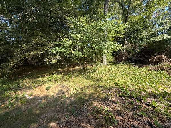 1.1 Acres of Land for Sale in Jasper, Alabama