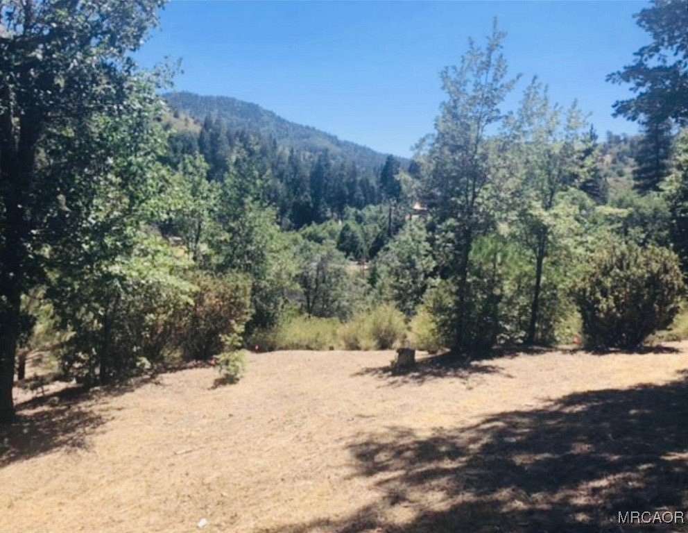 0.29 Acres of Land for Sale in Cedar Glen, California