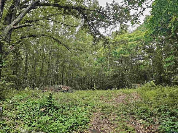 0.52 Acres of Residential Land for Sale in Henderson, Texas