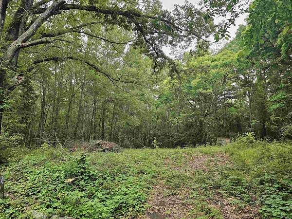 0.52 Acres of Residential Land for Sale in Henderson, Texas