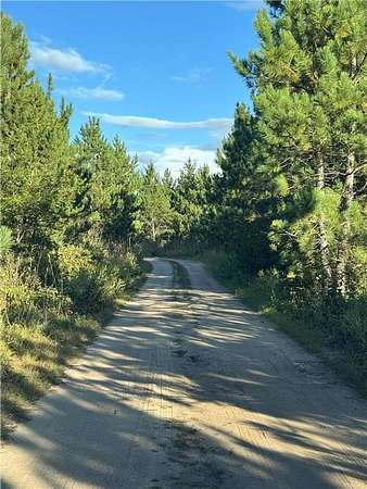 20 Acres of Recreational Land with Home for Sale in Bullard Township, Minnesota