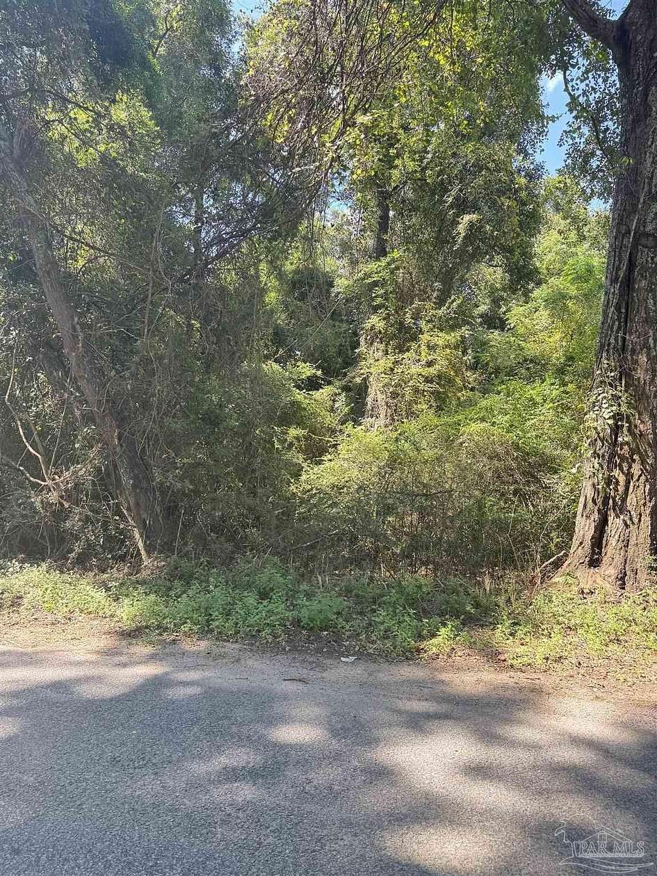 1 Acre of Residential Land for Sale in Jay, Florida