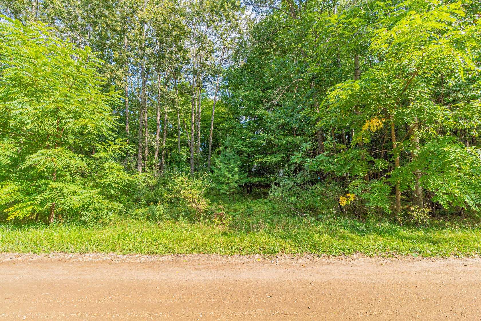 0.17 Acres of Residential Land for Sale in Canadian Lakes, Michigan