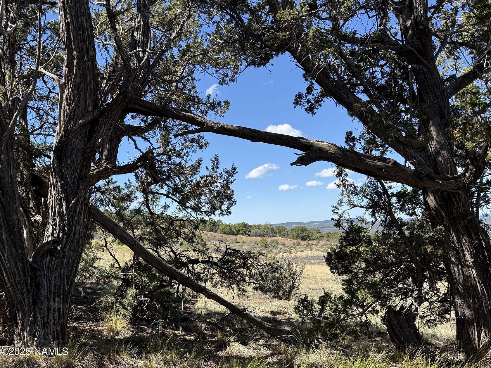 10.6 Acres of Recreational Land for Sale in Williams, Arizona