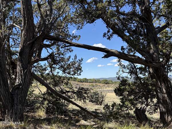 10.6 Acres of Recreational Land for Sale in Williams, Arizona