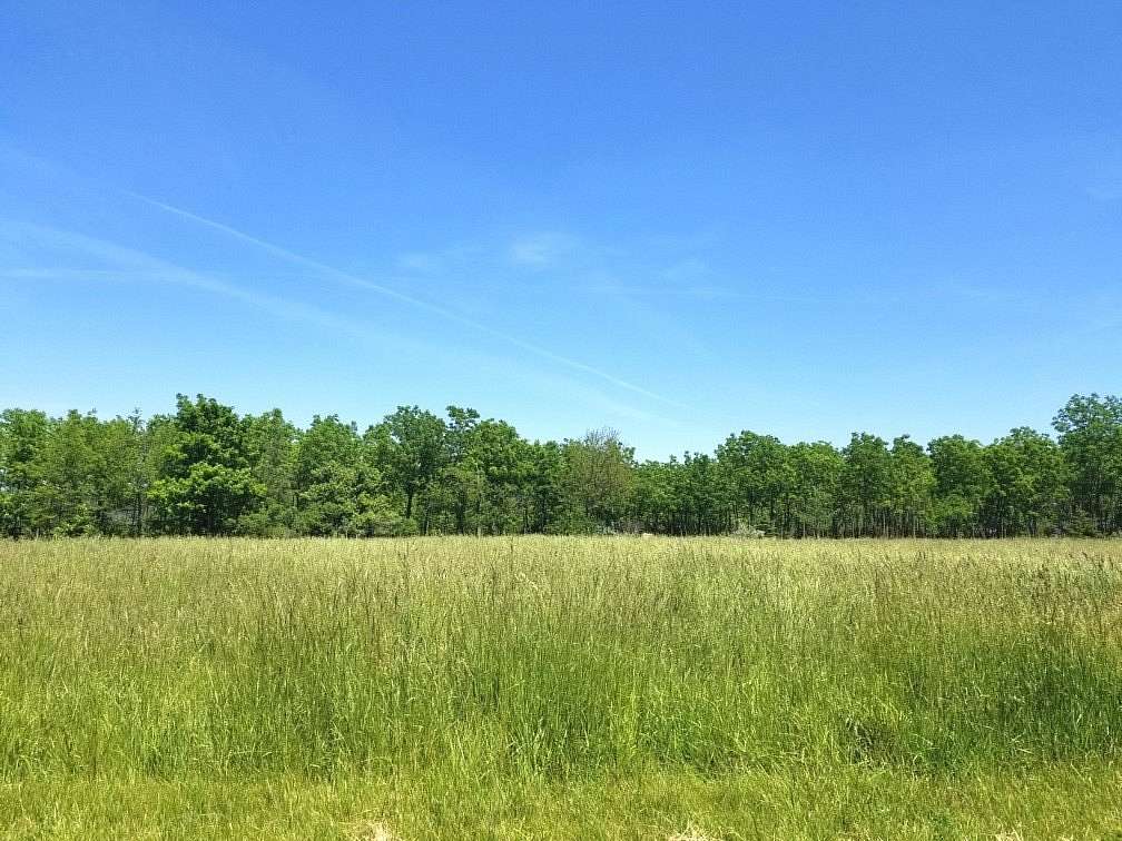 Land for Sale in Varna, Illinois