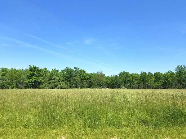 Land for Sale in Varna, Illinois