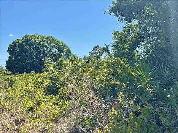 0.23 Acres of Residential Land for Sale in Lehigh Acres, Florida