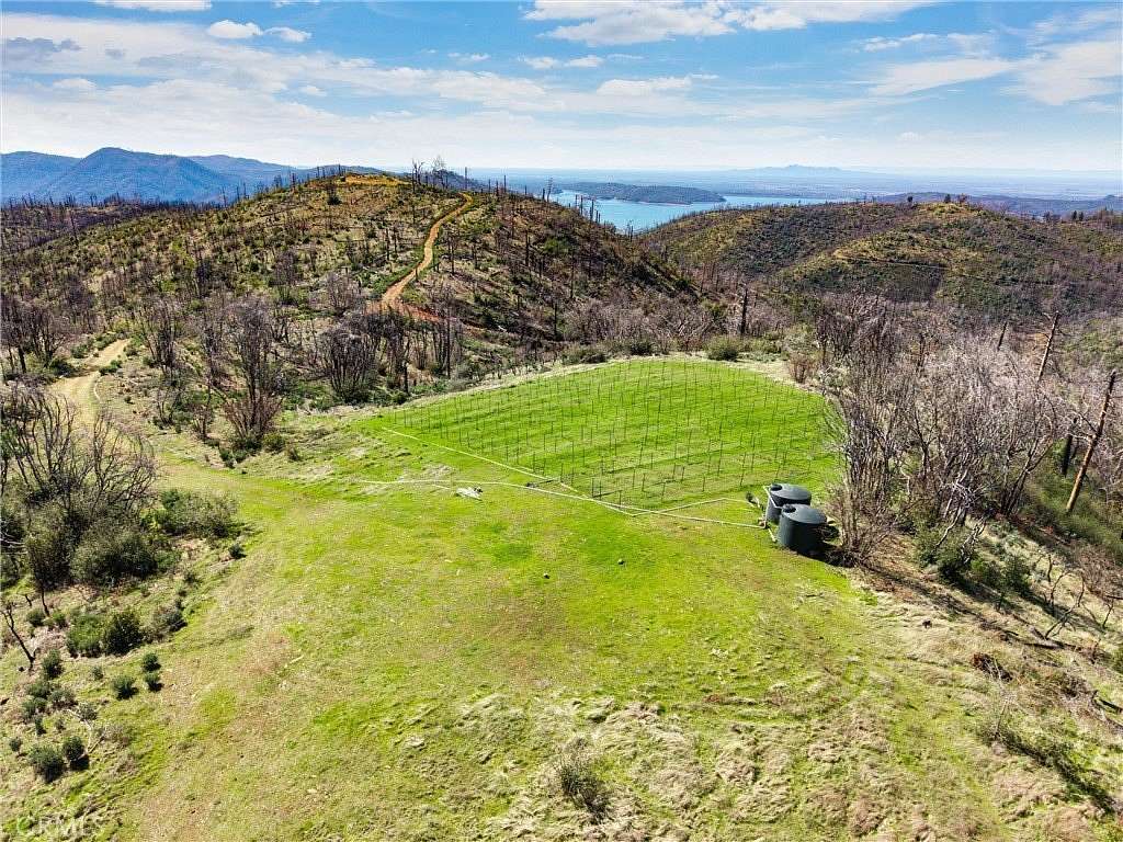 150 Acres of Land for Sale in Berry Creek, California