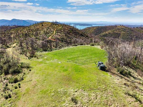 150 Acres of Land for Sale in Berry Creek, California