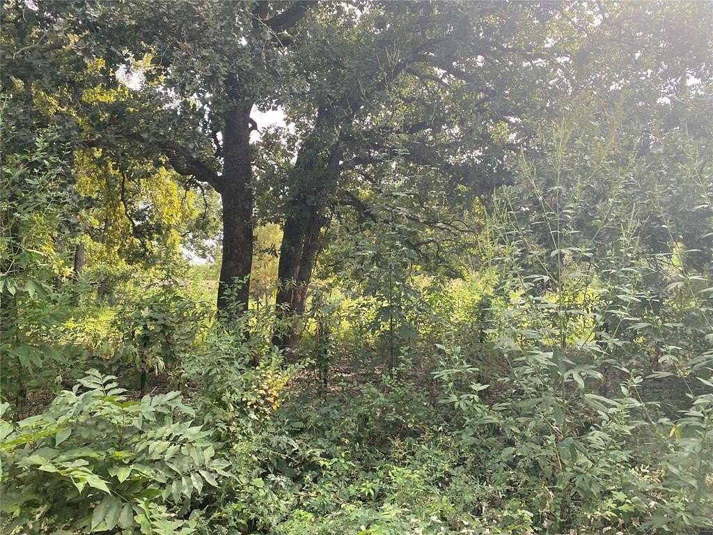 0.51 Acres of Residential Land for Sale in Kemp, Texas