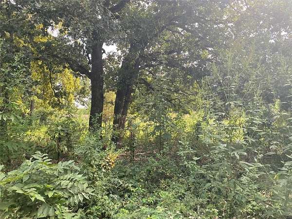 0.51 Acres of Residential Land for Sale in Kemp, Texas