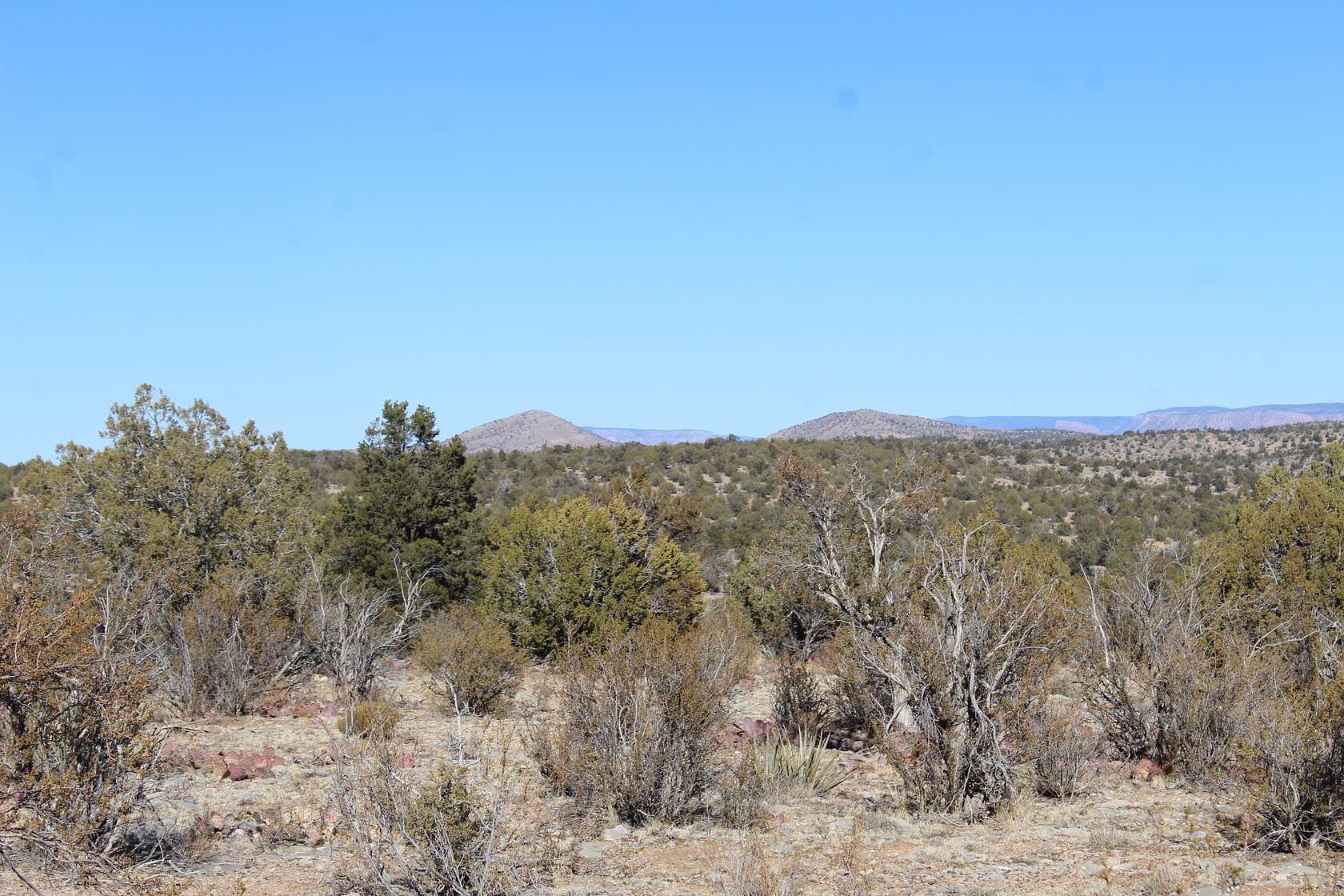 40 Acres of Recreational Land & Farm for Sale in Seligman, Arizona