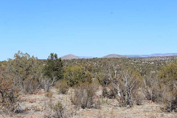 40 Acres of Recreational Land & Farm for Sale in Seligman, Arizona